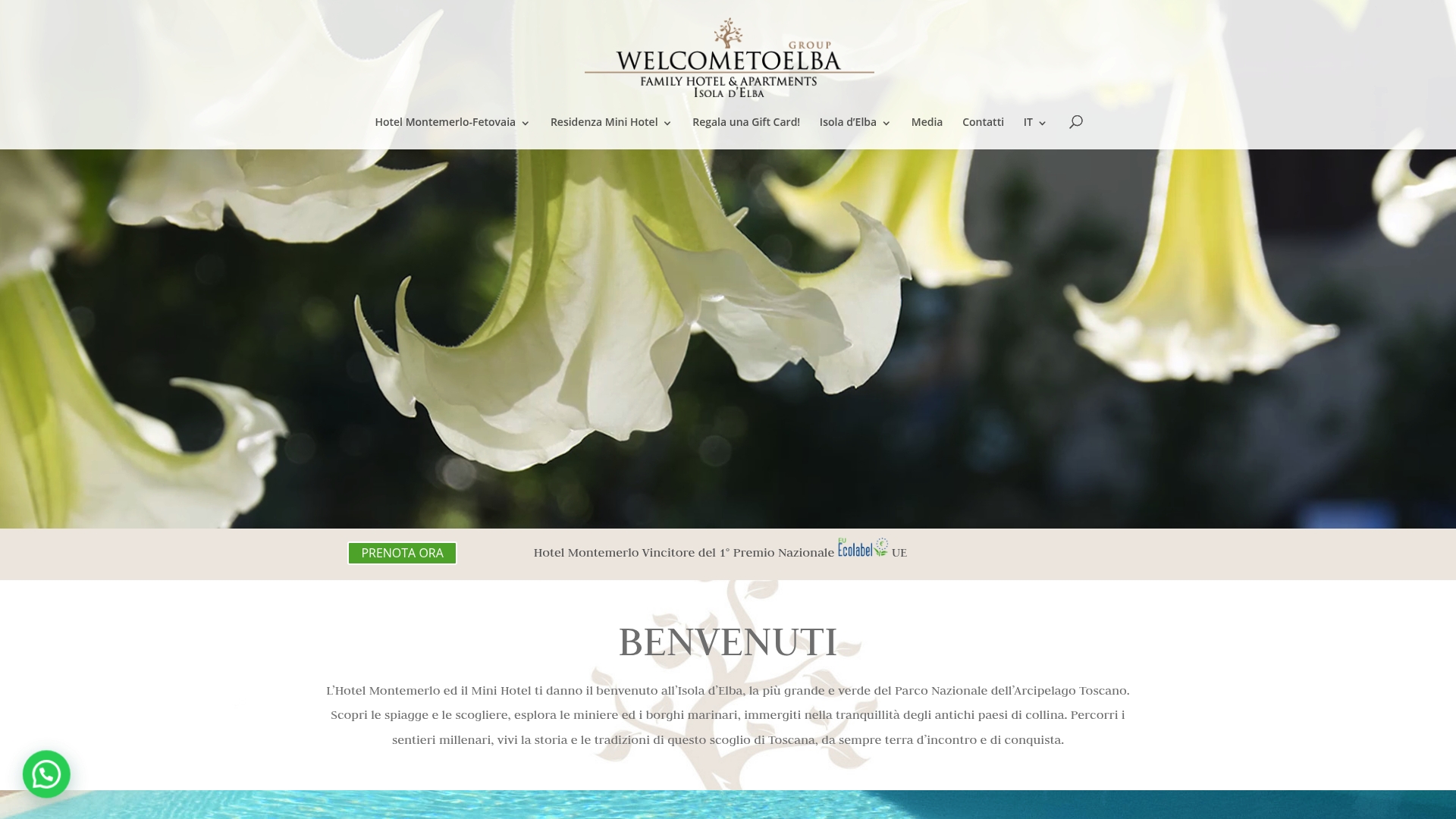 https://welcometoelba.com